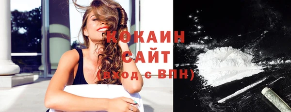не бодяженный Гусев