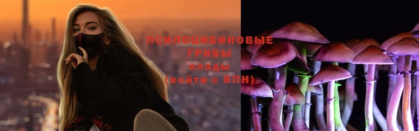 герыч Гусь-Хрустальный