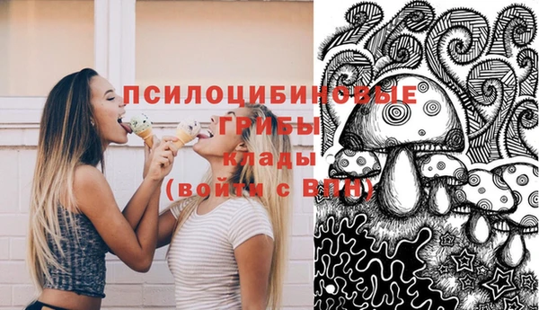 стаф Нея
