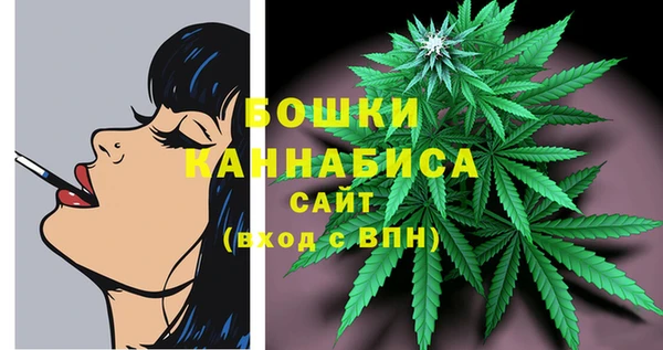 не бодяженный Гусев