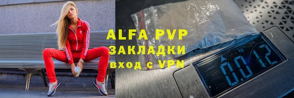 ГАЛЛЮЦИНОГЕННЫЕ ГРИБЫ Новозыбков