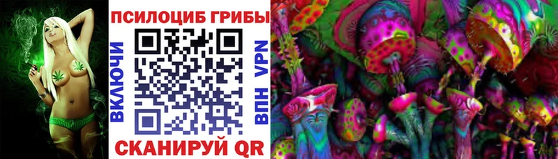 Псилоцибиновые грибы Cubensis Пересвет